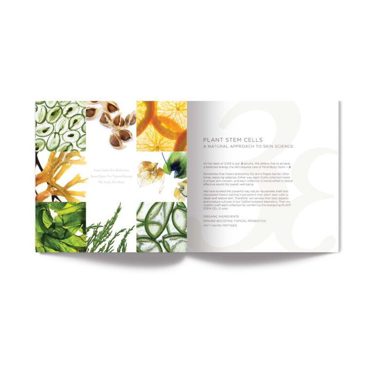 https://blasedesign.com/work/ojas-brochure-3/